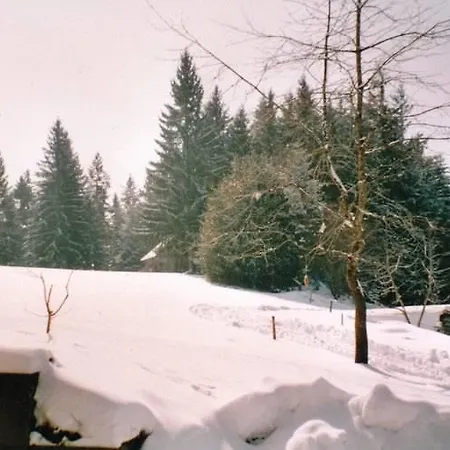 דירה Winterkopf הורנברג